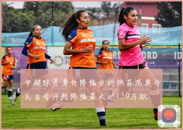 中超球员身价降幅分析热菲尼奥与瓦吉奇并列降幅最大达150万欧